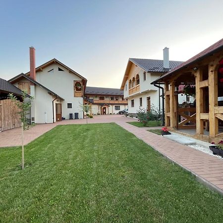 Pensiunea Valea Muntelui Birsana Экстерьер фото
