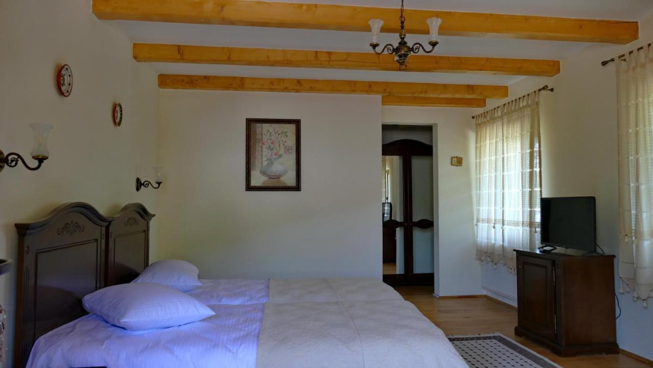 Pensiunea Valea Muntelui Birsana Экстерьер фото